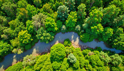 Naklejka premium Lush green forests and winding river from above, Earth's beauty
