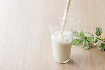 グラスに注いだ牛乳　Milk in a glass