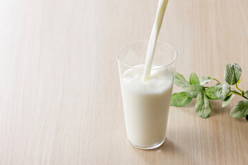 グラスに注いだ牛乳　Milk in a glass