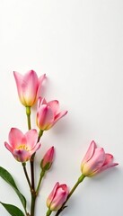 Fototapeta premium White background with a simple reed diffuser and some flowers, flowers, background