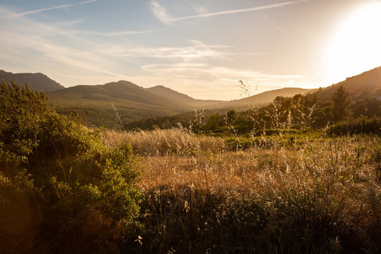 Paysage de montagne avec champs d'herbes s&eacute;ch&eacute;es sauvages au premier plan et montagne en arri&egrave;re plan au coucher du soleil rasant dans une lumi&egrave;re douce