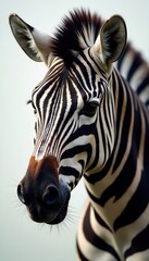 Fototapeta premium Crisp high contrast zebra stripes, macro view, africa, design, background