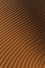 Merzouga desert Morocco sand dunes