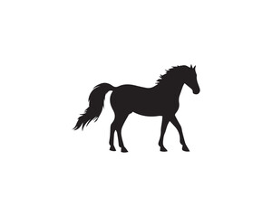 horse vector illustration