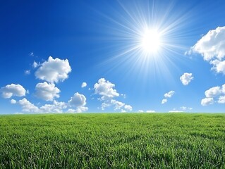 Obraz premium Sunny Meadow Daydream