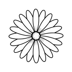 Fototapeta premium Vector illustration of a simple daisy flower in black and white, perfect for coloring pages, botanical designs, and floral artwork.
