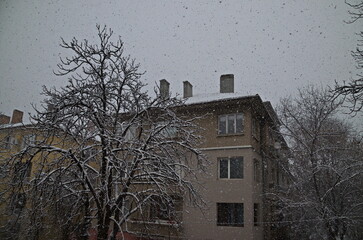 Beautiful moment of a storm with strong wind and heavy snowfall in a residential area, Sofia, Bulgaria 