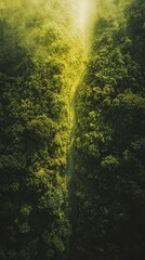 Fototapeta premium A minimalist aerial composition of a narrow road piercing through a dense forest, surrounded by deep green hues and golden sun rays filtering through.