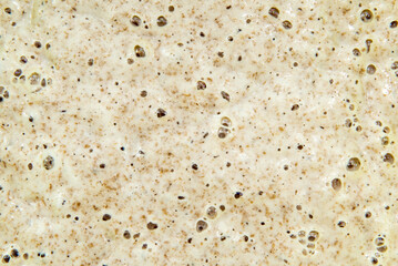 Texture of fermented dough or sourdough with bubbles. Bakery. Dough