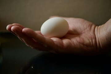 raw egg in palm of hand