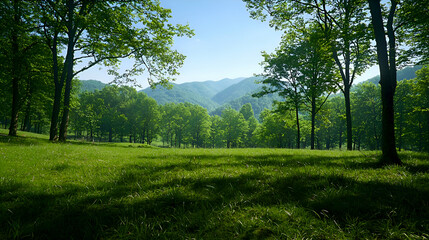Obraz premium Serene Green Meadow Landscape with Lush Trees and Sunlight Dappled Hills