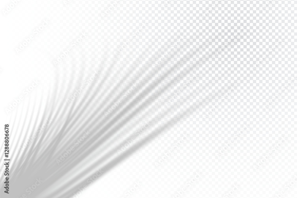 Poster realistic isolated vector palm leaf shadow effect. transparent tropical plant leaf shadow overlay ef