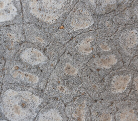 Texture of grey concrete wall for background.