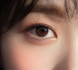 Obraz premium 눈의 해부학과 역할 / Anatomy and Role of the Eye