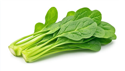 Fresh spinach leaves arranged beautifully for a healthy meal preparation.