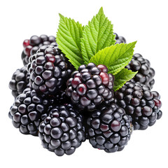Fresh Blackberries: Juicy, Sweet & Delicious isolated on transparent background