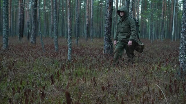 A man with a backpack walks through a coniferous forest. A bushcrafter with survival gear is walking through a swamp. The concept of survival in the wild