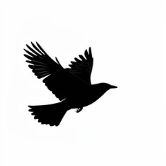 Obraz premium Black silhouette of flying bird