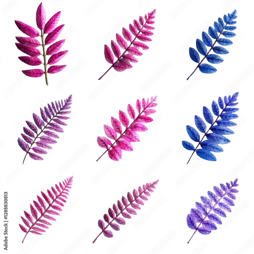 Poster set of six different colored leaves isolated on white background for nature and autumn themes isolat