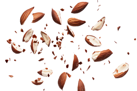 Brazil nuts on transparent background