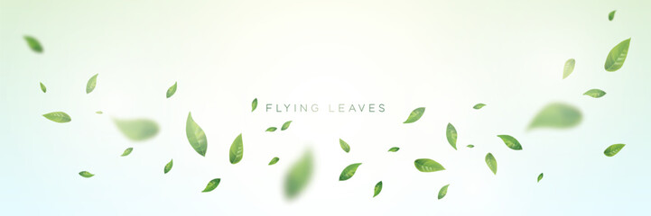 Green flying leaves on long white banner. Leaf falling. Wave foliage ornament. Flying leaves design, suitable for design elements. Green leaves background
