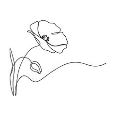 Single Line Poppy Flower Drawing, Minimalist Botanical Art