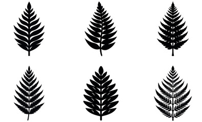 Six distinct, black silhouettes of fern leaves against a white background. © Mdaminul