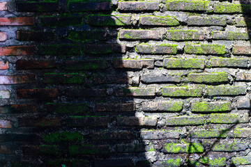 Old Brick Wall With Green Moss Grunge Texture Detailed Close Up Shot