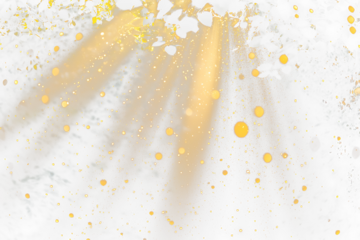 Sunbeams illuminate magical forest, glowing dust motes.