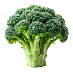Fresh Broccoli: Nutrition, Recipes & Benefits isolated on transparent background
