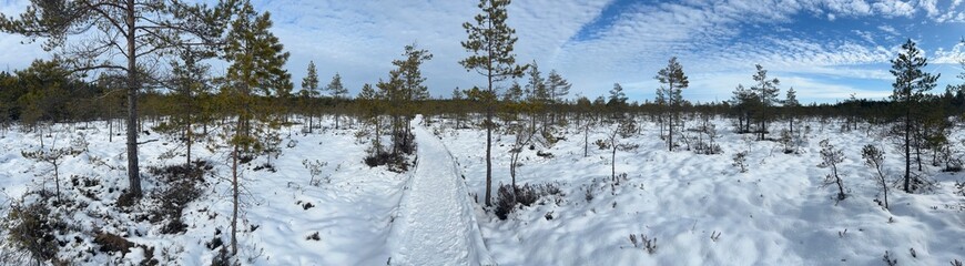 Soomaa National Park, Riisa Bog