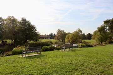 The empty bench in the countryside park on a sunny day.