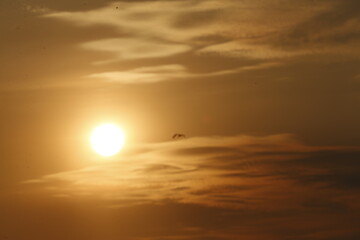 a sunset seen in the sky over a rice field in nakhon sawan province, north of bangkok on february 23, 2025..