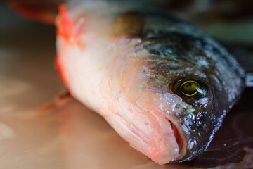 perch fish on marble table