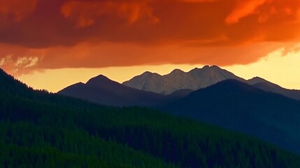 Coniferous forest covering rolling hills at sunset with orange clouds