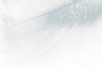 Water spray, droplets on Transparent  background.