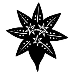 Obraz premium black and white star