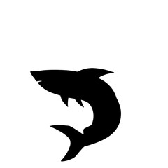 Shark Silhouette 