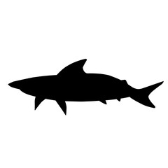 Shark Silhouette 