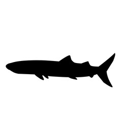 Shark Silhouette 