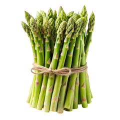 Fresh Green Asparagus: Recipes & Nutrition isolated on transparent background