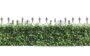Green fence ornamental plant on transparent or white background,png