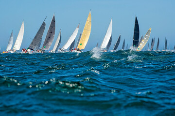 Sailing yachts regatta. Yachting. Sailing race Australia