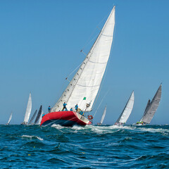 Sailing yachts regatta. Yachting. Sailing race Australia