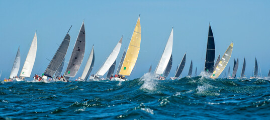 Sailing yachts regatta. Yachting. Sailing race Australia