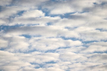 Abstract background with blue sky and small white clouds. Mackerel sky with altocumulus cloud
