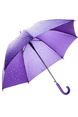 Isolated Luxurious Purple Umbrella with Water Droplets