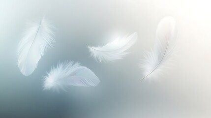 Obraz premium Elegant Floating White Feathers on Misty Silver Background – Abstract and Serene