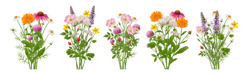 Bouquets with blooming flowers and green leaves or branches. Vector realistic style, isolated arrangement, blossom and flourishing for wedding decor. Present for holiday, florist shop assortment