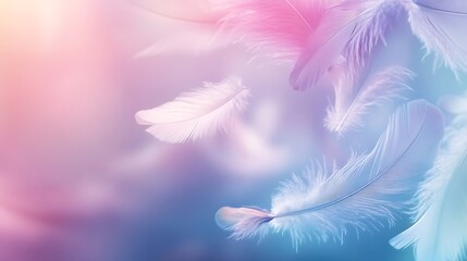 Obraz premium Soft Blurred Feather Background in Pastel Tones – Ideal for Branding & Wallpapers